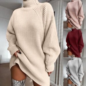 Solid Turtleneck Long Swe…